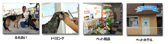 ペットトリミング、ペットホテル