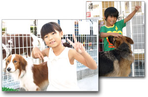 �y�b�g�Ƃӂꂠ��