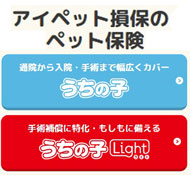 �A�C�y�b�g���ۂ̃y�b�g�ی�