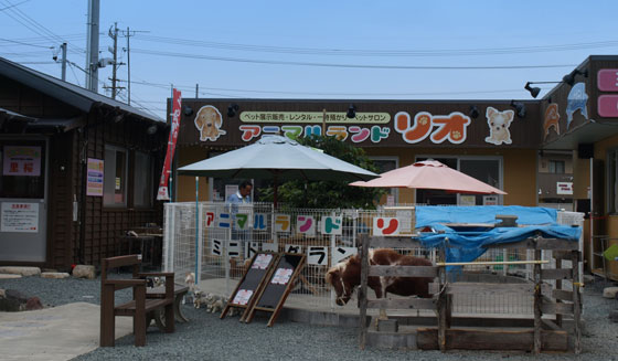 �ĒẪy�b�g�V���b�v�@�A�j�}�������h���I