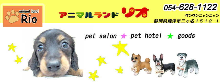 �ĒÎs�@�y�b�g�V���b�v�@���I